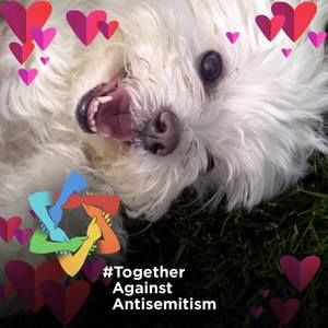 Meet your Posher, Carol